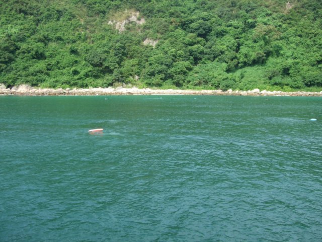 dscf3116